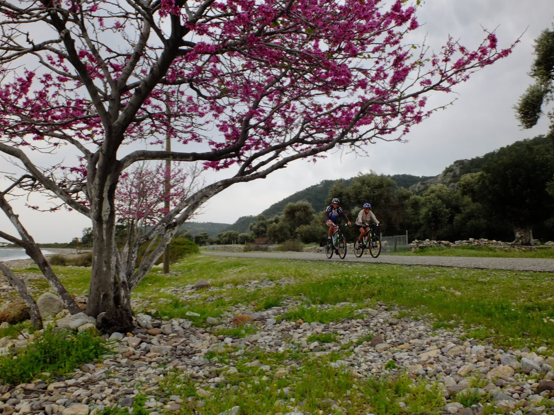 Aegean Coast Road Bike Touring